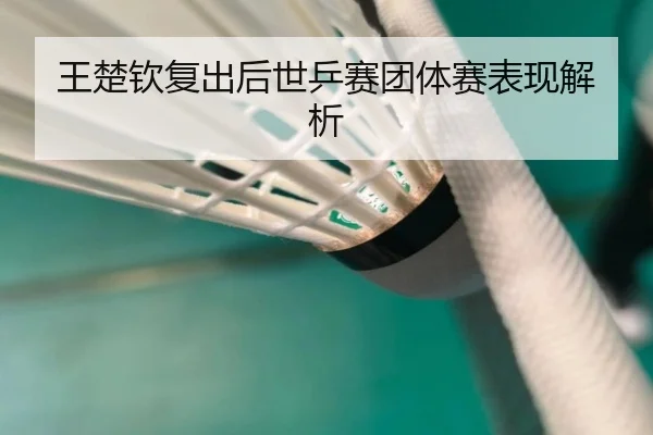 王楚钦复出后世乒赛团体赛表现解析 | ALLBET